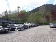 2019 - Jaguar in Friuli (27-28 Aprile) (6/29)